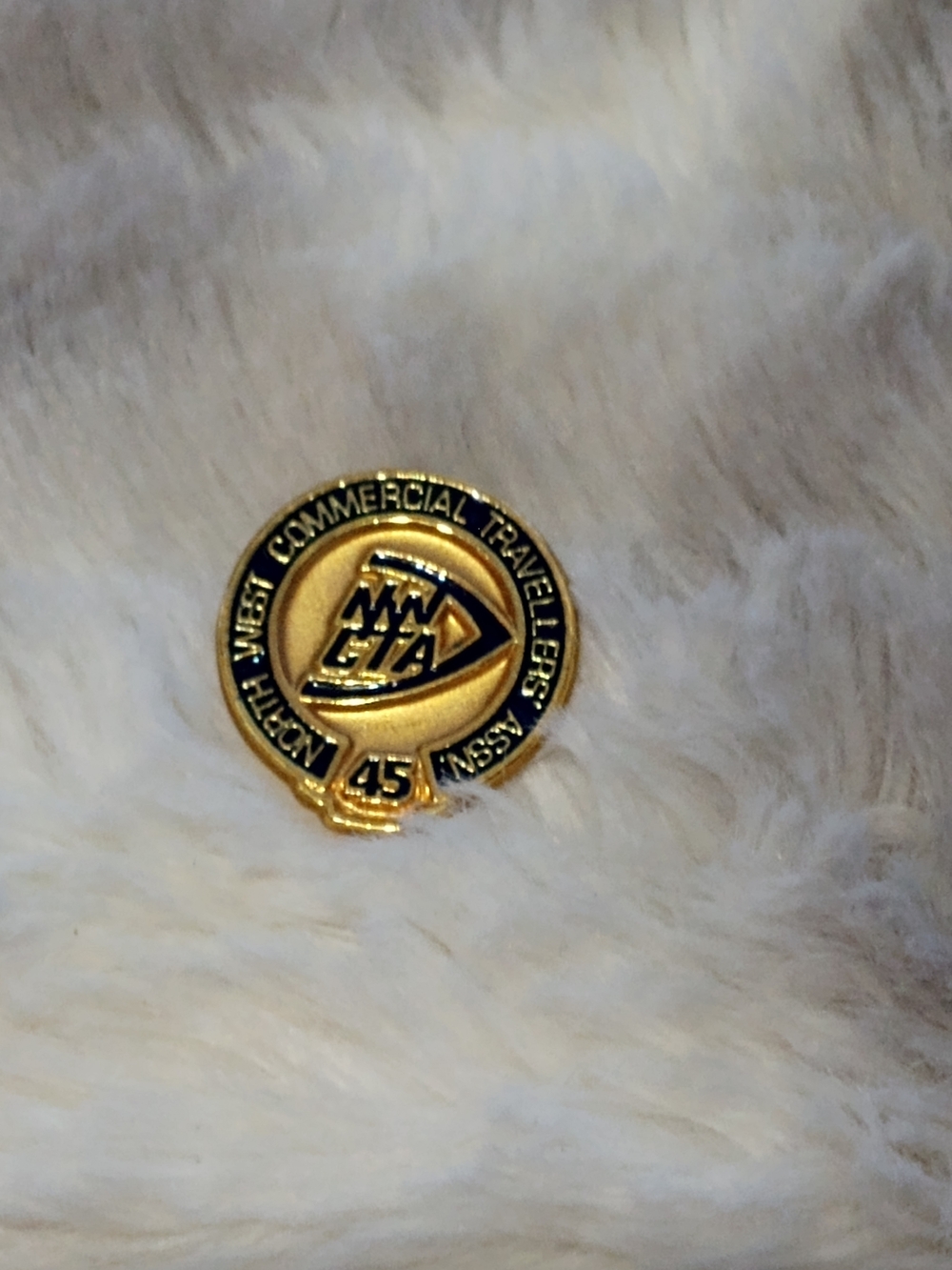 Gold NW CTA 45 Commemorative Pin